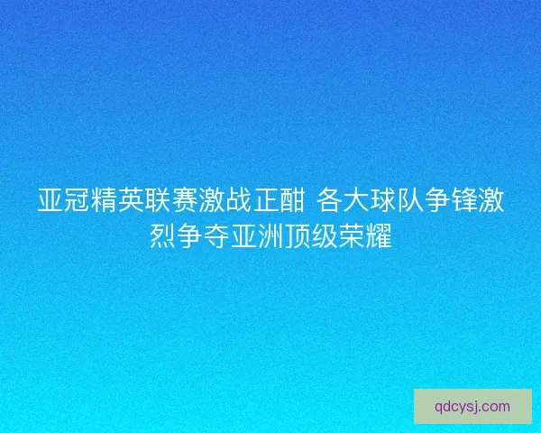 亚冠精英联赛激战正酣 各大球队争锋激烈争夺亚洲顶级荣耀